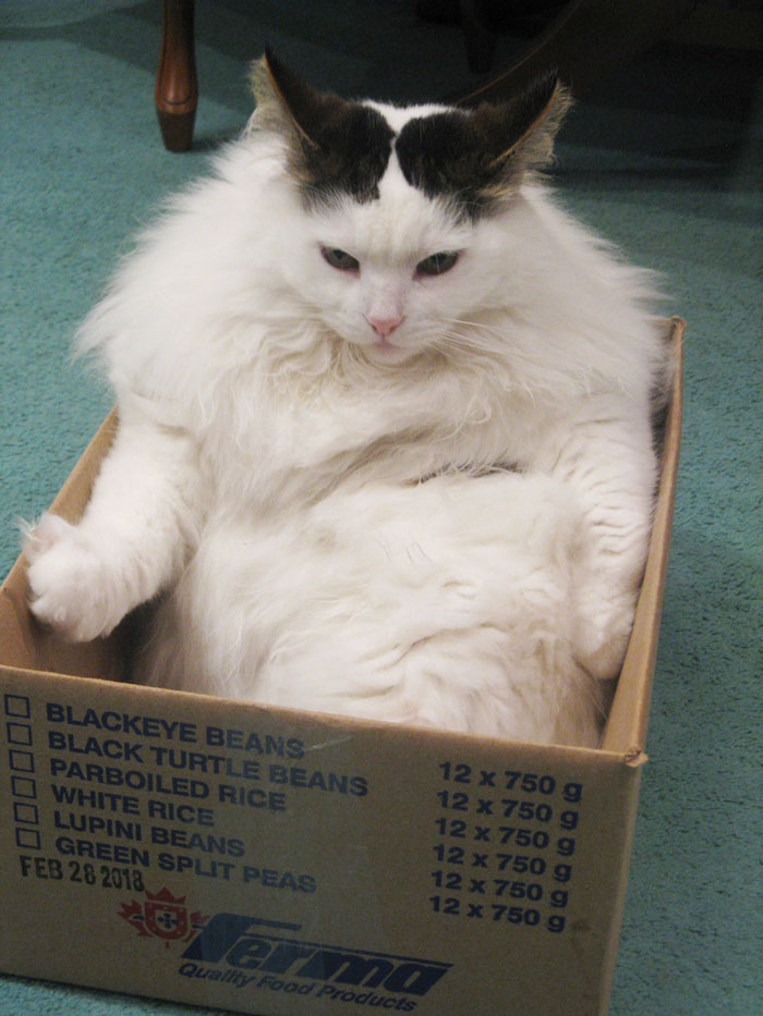 La caja de cartón (corrugado)