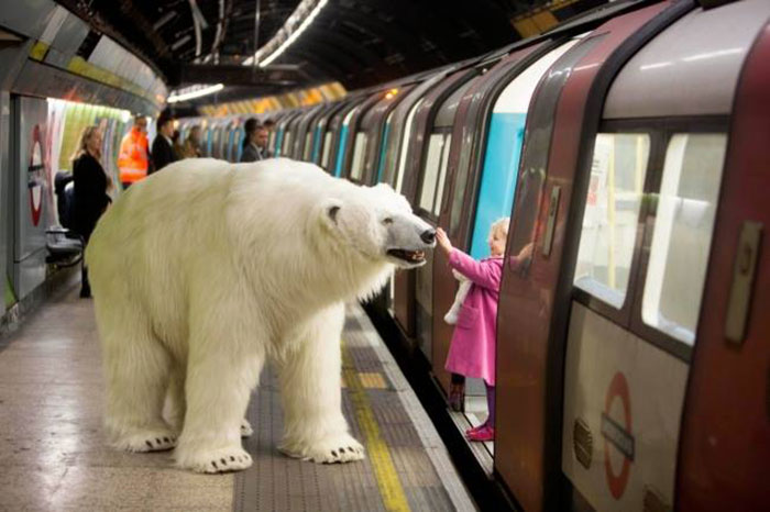 This British Facebook Page Is Sharing 40 Pictures That Prove 'Random' Is A Daily Thing On 'The Tube'