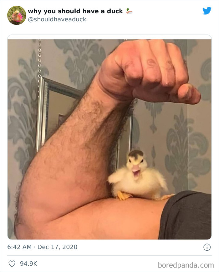 This Page 