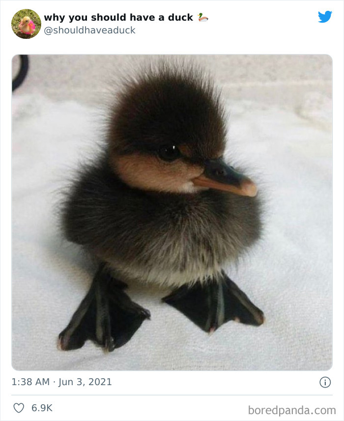 This Page 