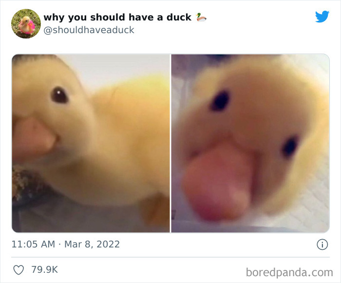 This Page 