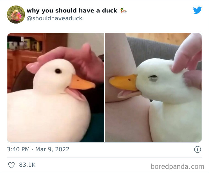 This Page 