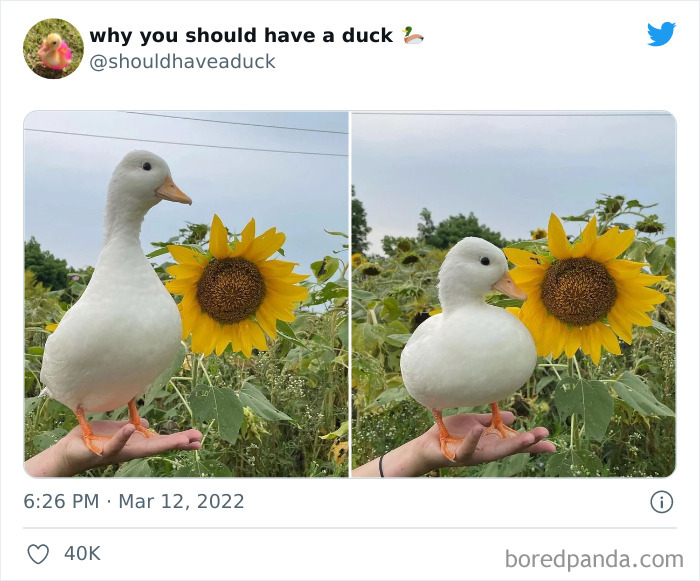 This Page 