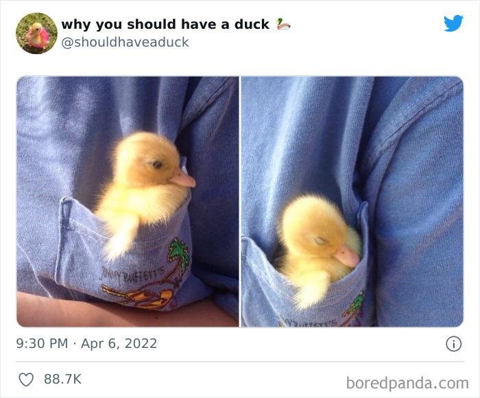 This Page 
