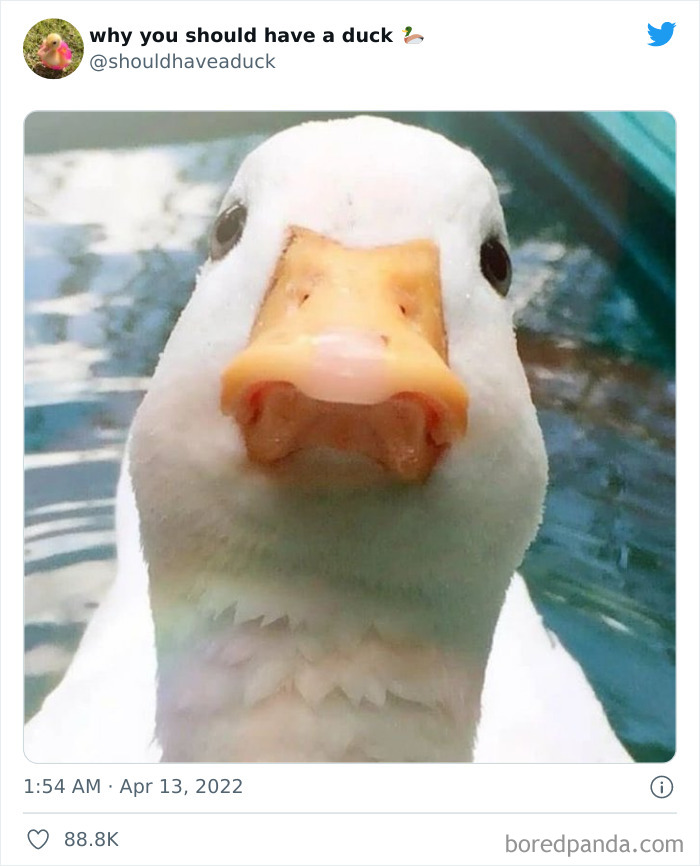 This Page 