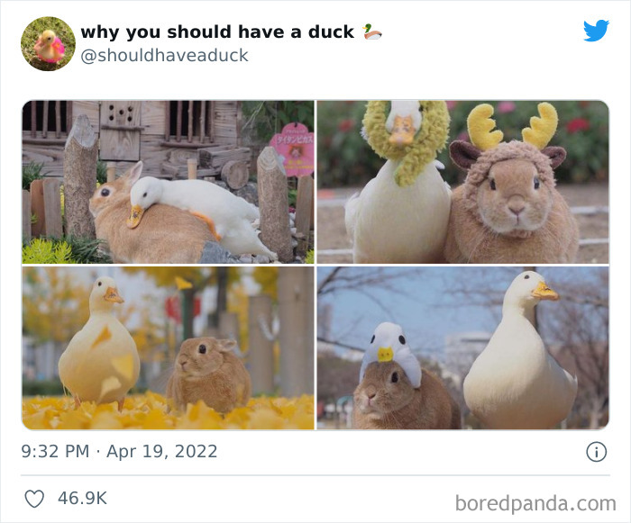 This Page 