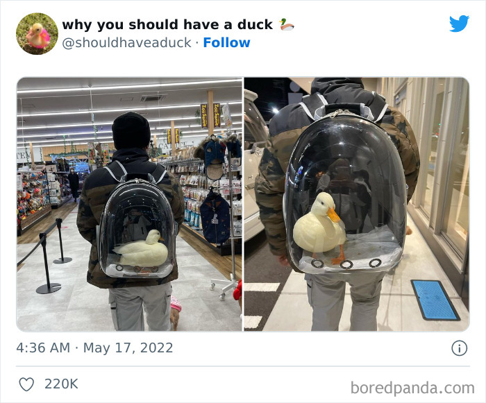 This Page 