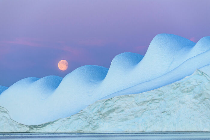 Finalista de Paisajes, Paisajes Acuáticos y Flora - "Pastel de helado" de Bart Heirweg