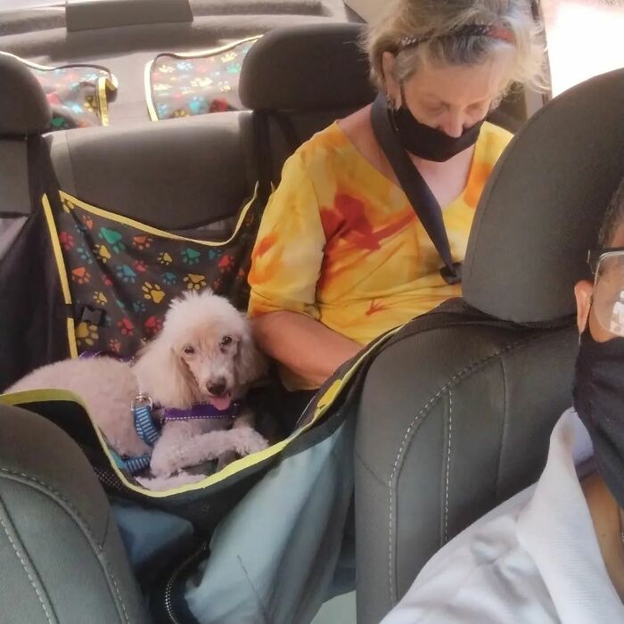 40 Selfies This Guy Has Taken With The Passengers Of His “Pet Taxi” Business