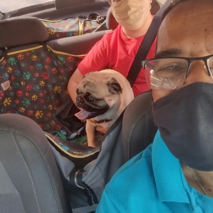 40 Selfies This Guy Has Taken With The Passengers Of His “Pet Taxi” Business