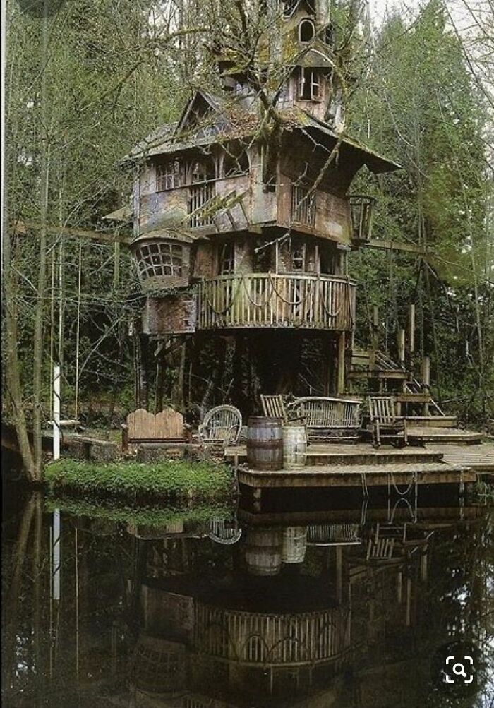 Casa del árbol abandonada en Washington D.C
