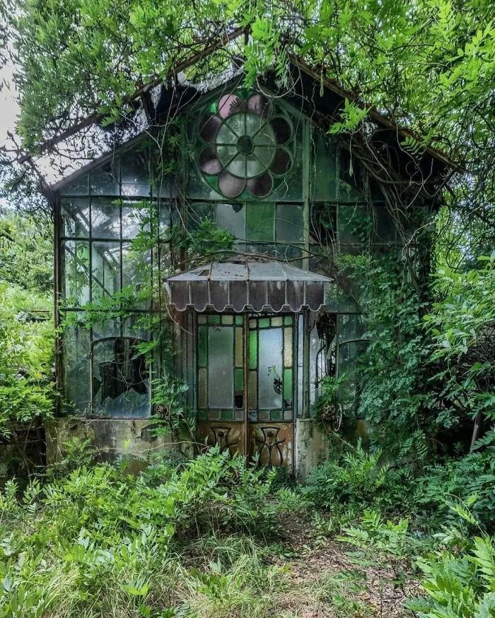 Invernadero abandonado