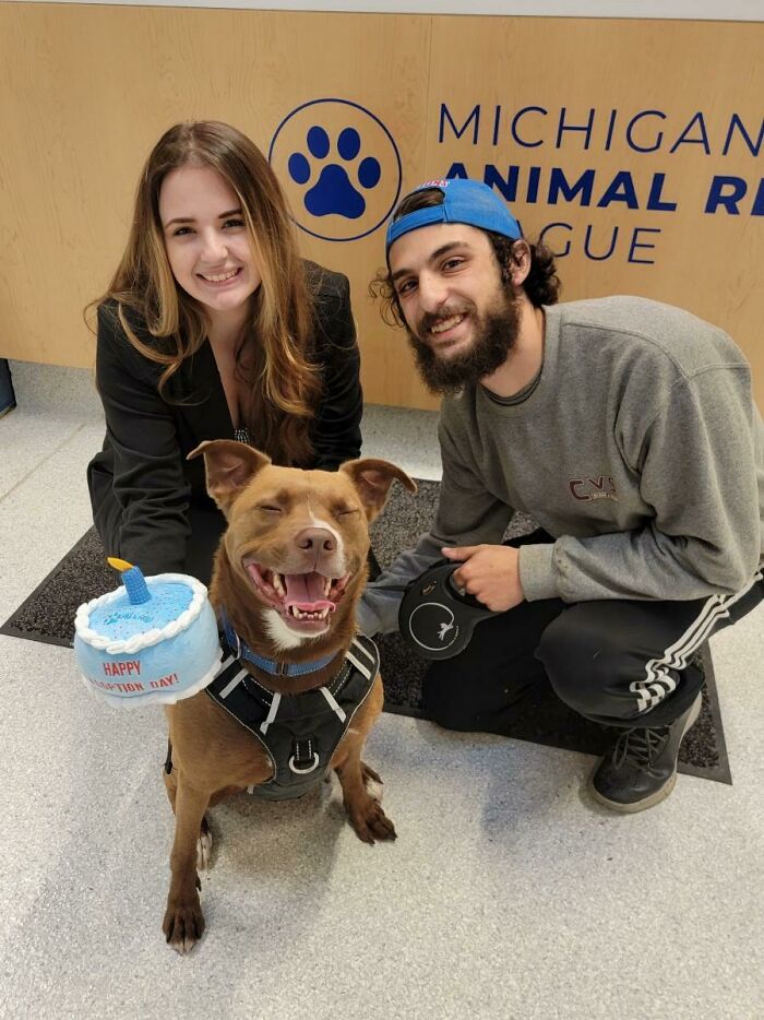 Malcolm, nuestro residente más veterano en el refugio, ha sido adoptado oficialmente por su familia de acogida