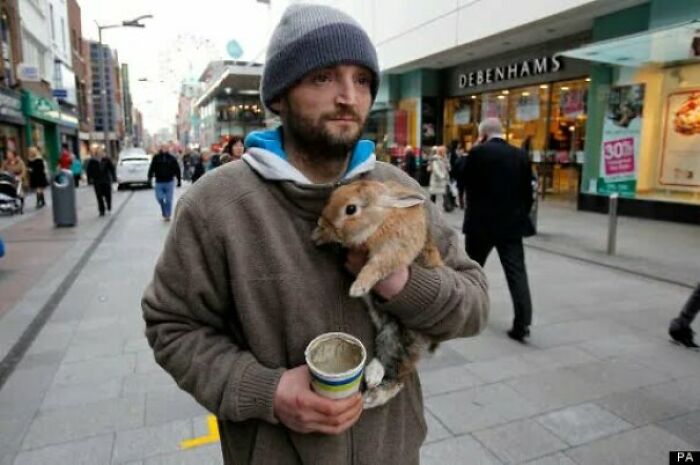 Una persona tiró el conejo de este indigente por un puente y él saltó inmediatamente al río para salvarlo. Ganó un premio, le dieron comida para animales y un trabajo, y el agresor fue acusado de crueldad animal