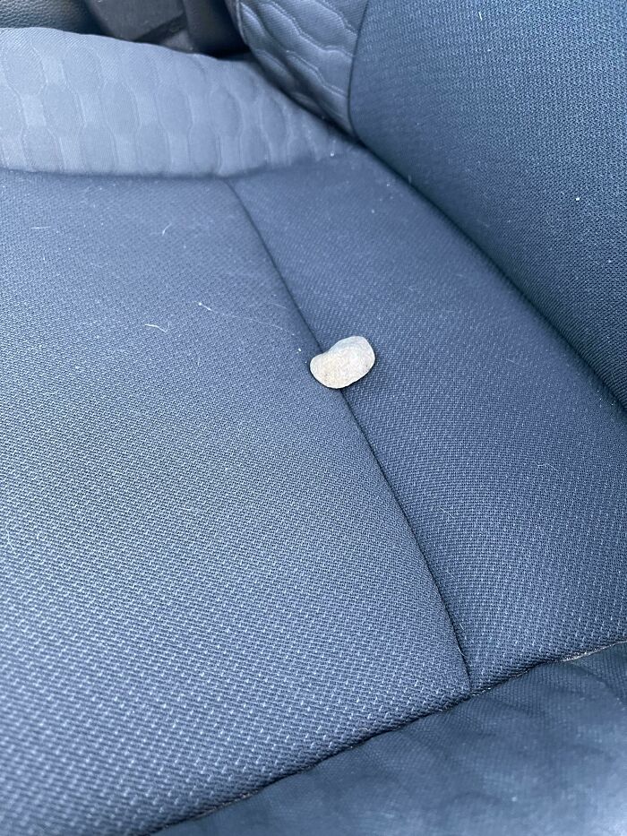 Mi hijo de 9 años encontró esta roca hace un mes y se convirtió en su roca de la "suerte". La lleva a todas partes. Hoy tengo una importante entrevista de trabajo y encontré su piedra en mi asiento