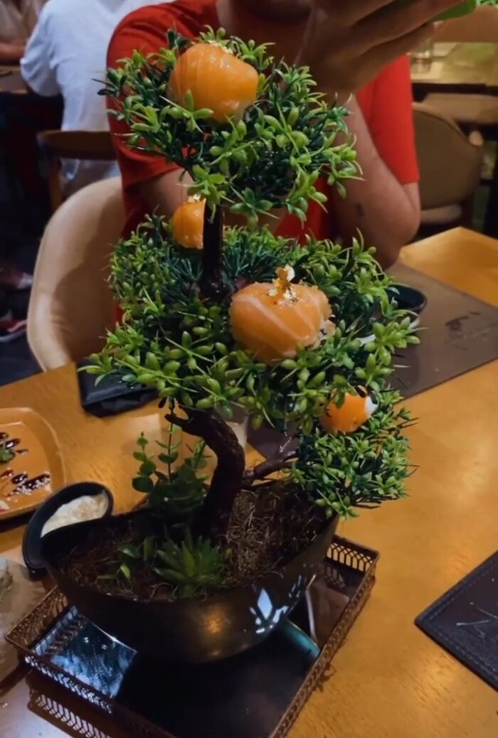 Gente… Es sushi en un árbol