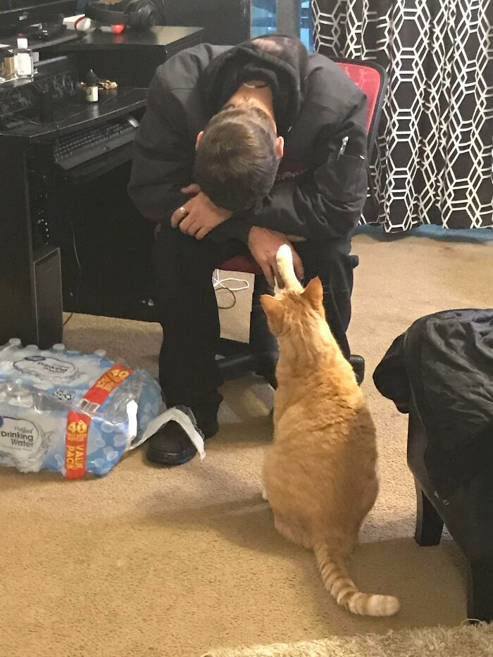 Foto que muestra a un dulce muchacho consolando a papá después de un duro día de trabajo