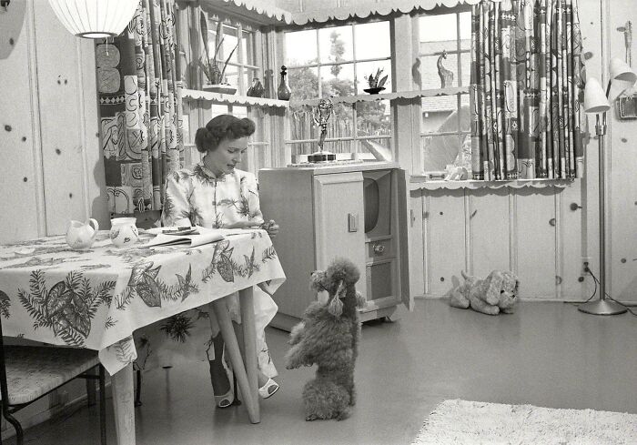 50 Important Historical Photos That Might Change Your Perspective On Things, As Shared By This Facebook Page