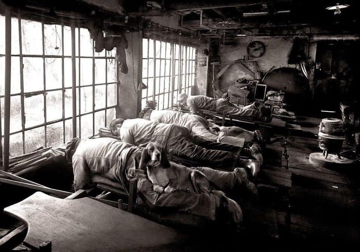 50 Important Historical Photos That Might Change Your Perspective On Things, As Shared By This Facebook Page