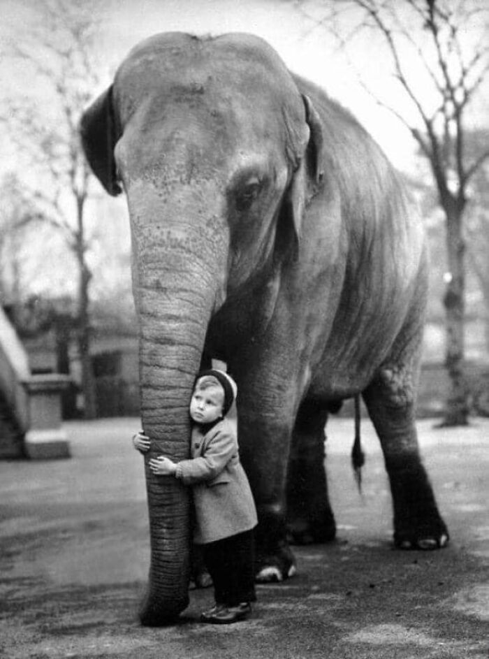 50 Important Historical Photos That Might Change Your Perspective On Things, As Shared By This Facebook Page