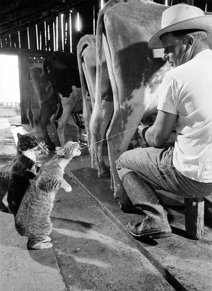 50 Important Historical Photos That Might Change Your Perspective On Things, As Shared By This Facebook Page