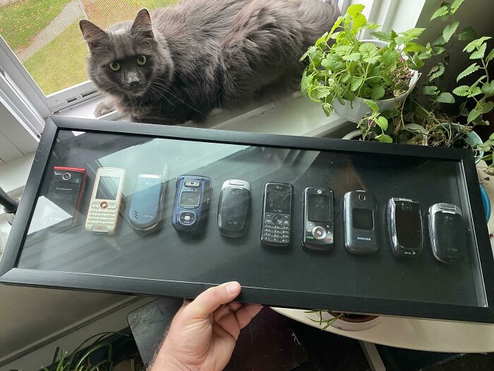 He conservado todos mis viejos teléfonos móviles a lo largo de los años. Decidí exhibirlos, por alguna razón