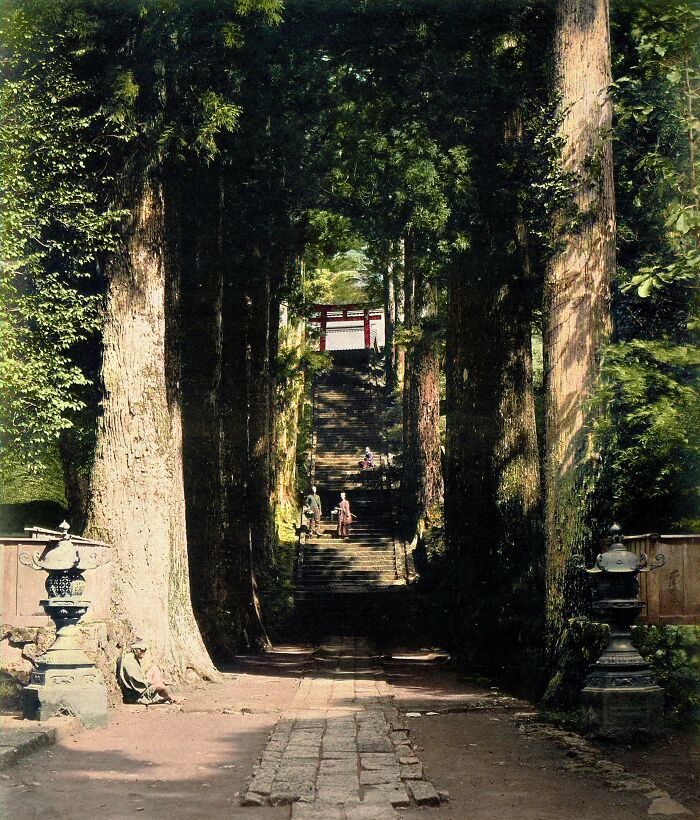 Hakone, Japón, una avenida arbolada que termina en una escalera hacia un templo, fotografiada por Felice Beato en ca. 1868
