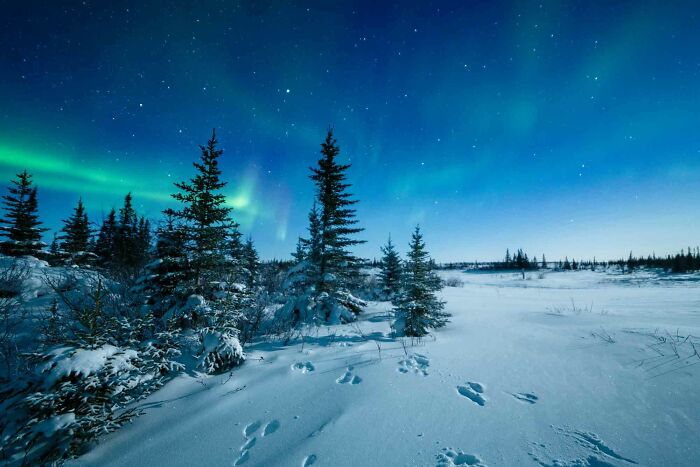 Churchill en Manitoba, Canadá