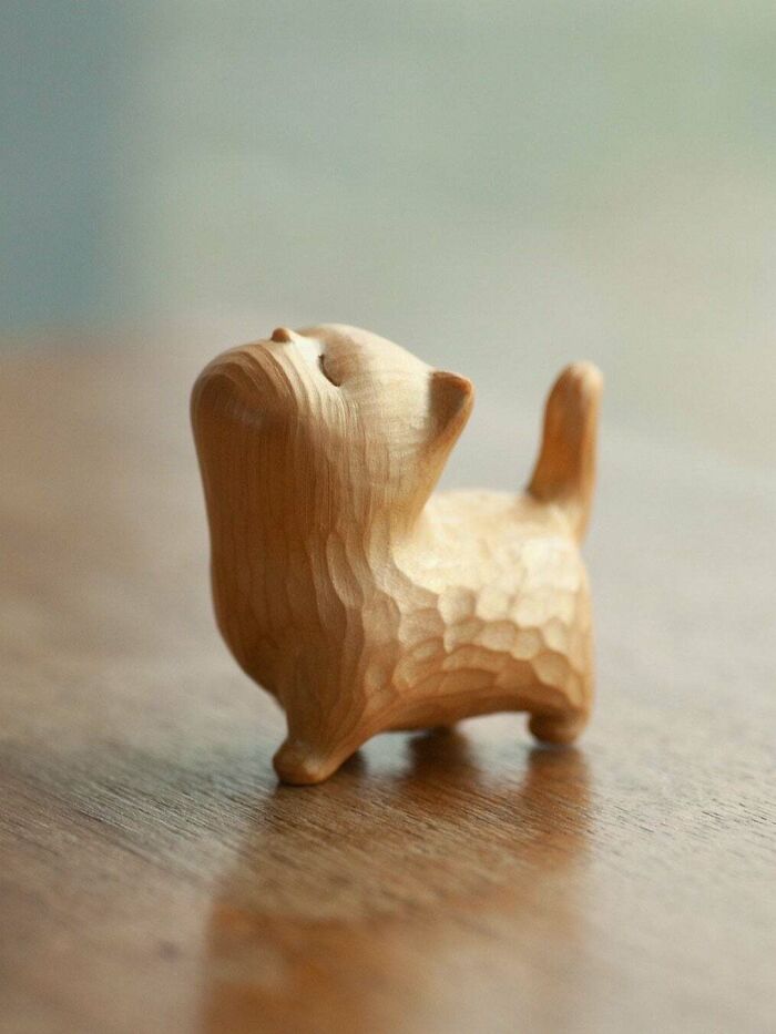 Como sea, estoy muy feliz con este gatito
