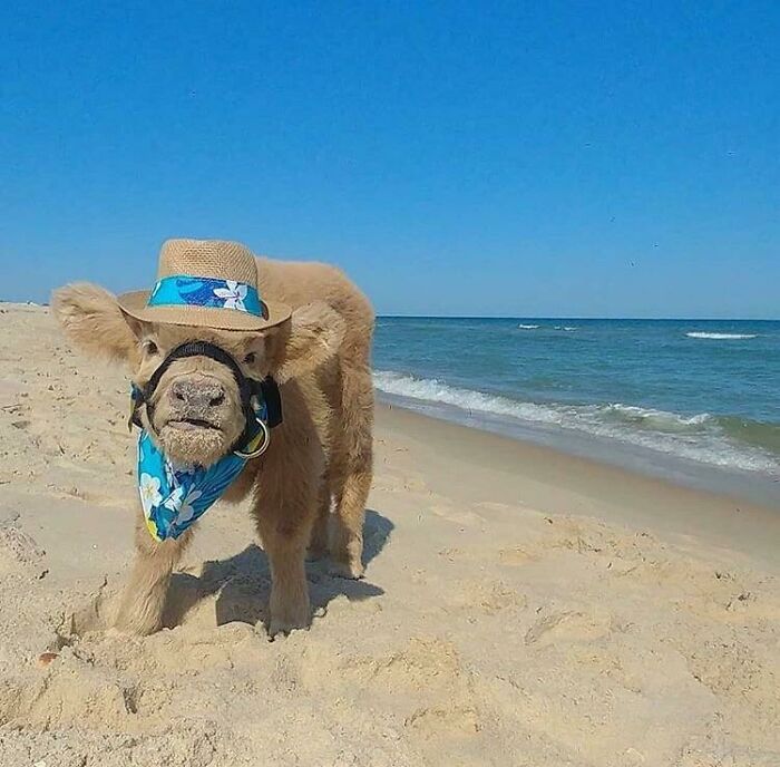 Día de playa