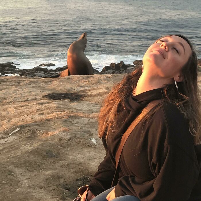 A veces solo hay que sentarse al sol y lucir un aspecto fabuloso. Este león marino lo sabe