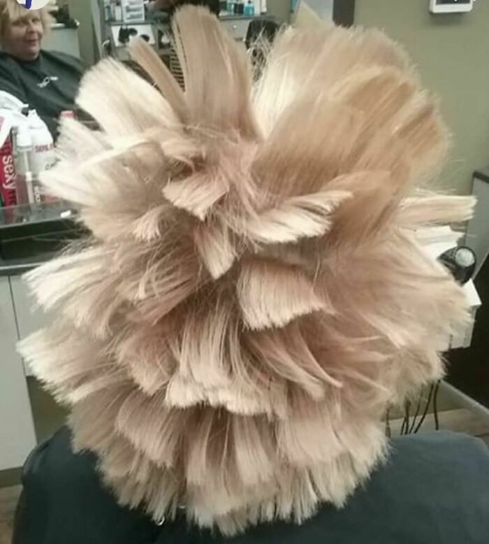 50 Times People Spotted Such Tragic Hairdo Accidents, They Just Had To Share Them In This Online Group