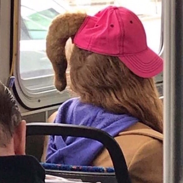50 Times People Spotted Such Tragic Hairdo Accidents, They Just Had To Share Them In This Online Group