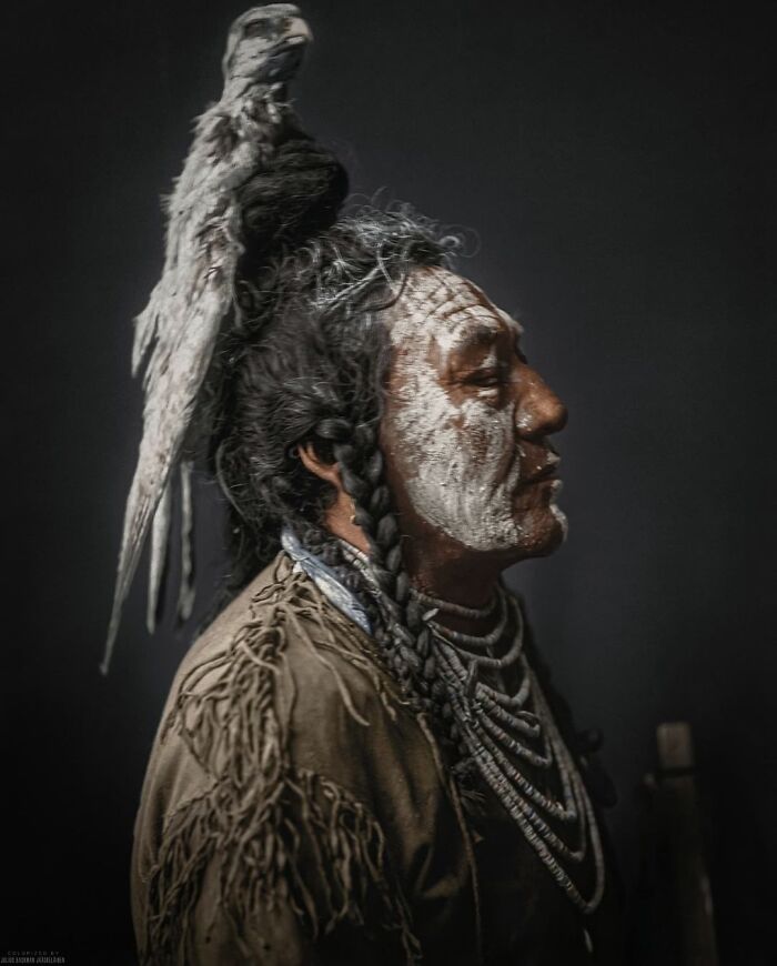 Retrato de Dos Silbidos (Ishichoshtupsh) del pueblo cuervo (Apsáalooke) fotografiado por Edward S. Curtis en 1908