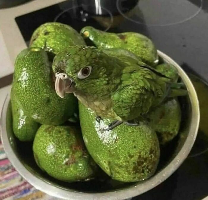 40 Of The Best "Chaotic Food" Pics That Might Raise A Few Questions