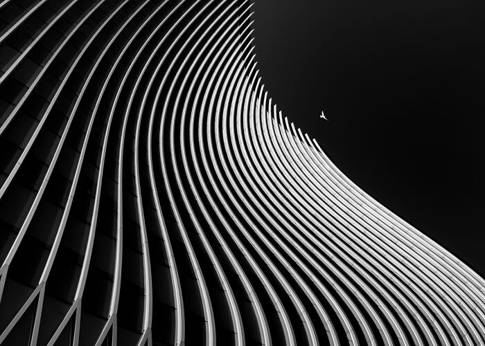 Volando en la oscuridad