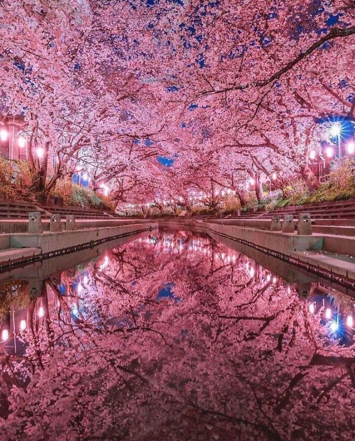 Saitama, Japón