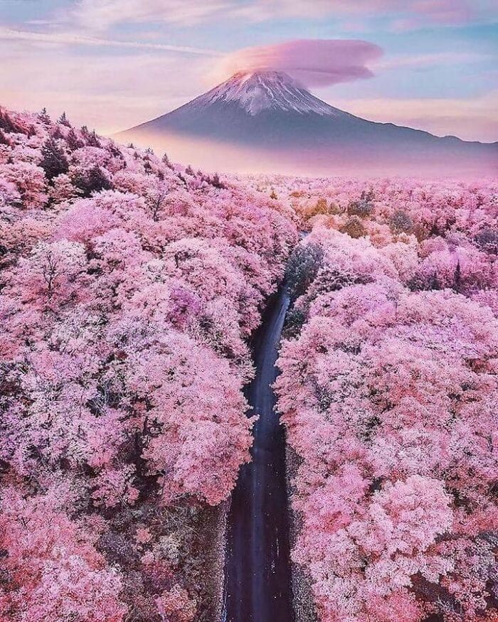 Monte Fuji