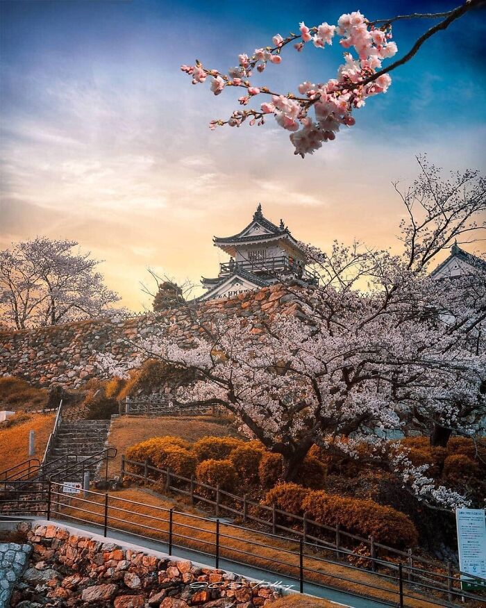 Castillo Hamamatsu, Japón
