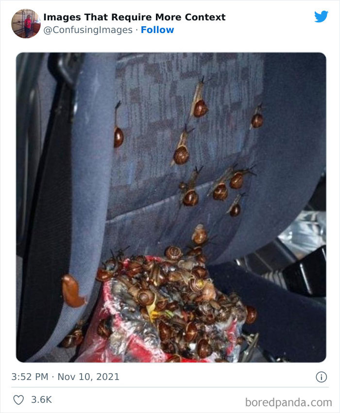 30 Funny And Confusing Pics Posted By The “Images That Require More Context” Twitter Page (New Pics)