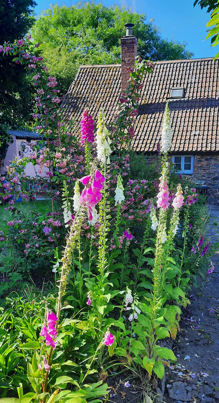 40 Creative Gardening Examples People Shared On This Facebook Group With 1.1M Members