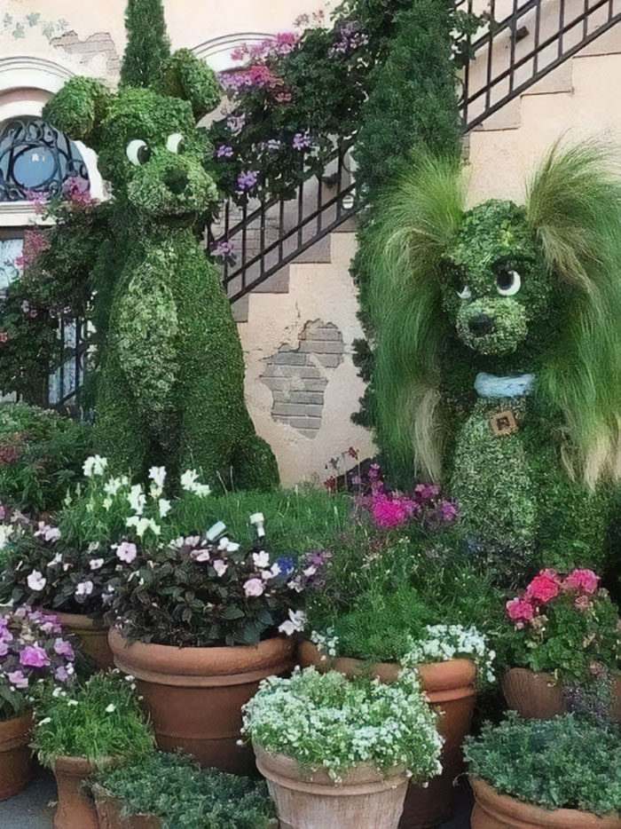 40 Creative Gardening Examples People Shared On This Facebook Group With 1.1M Members