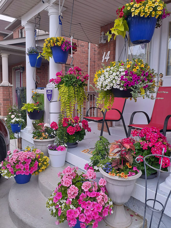 40 Creative Gardening Examples People Shared On This Facebook Group With 1.1M Members
