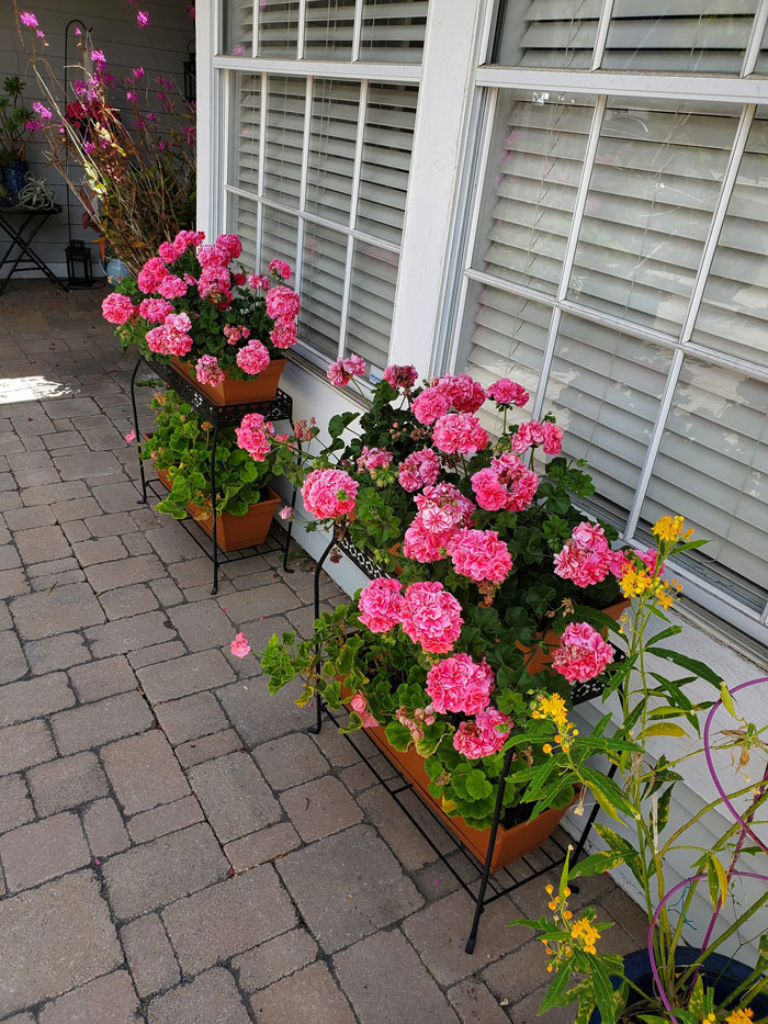 40 Creative Gardening Examples People Shared On This Facebook Group With 1.1M Members