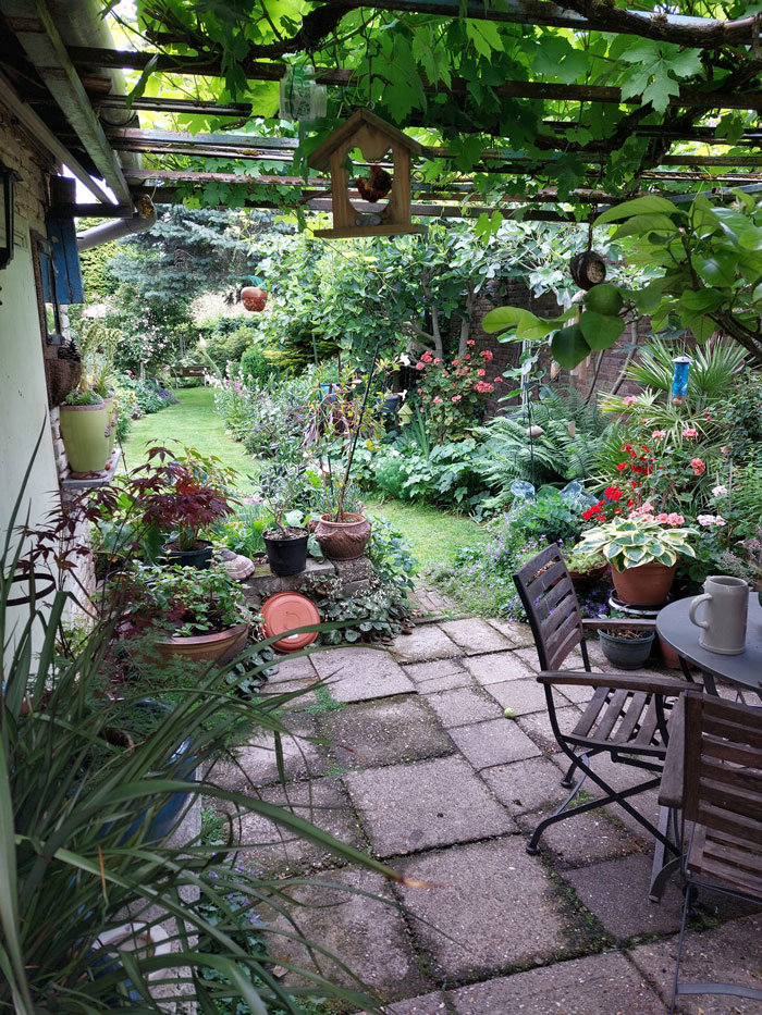 40 Creative Gardening Examples People Shared On This Facebook Group With 1.1M Members