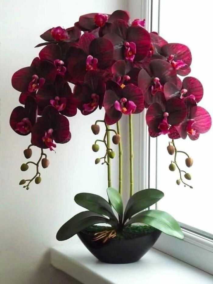 40 Creative Gardening Examples People Shared On This Facebook Group With 1.1M Members