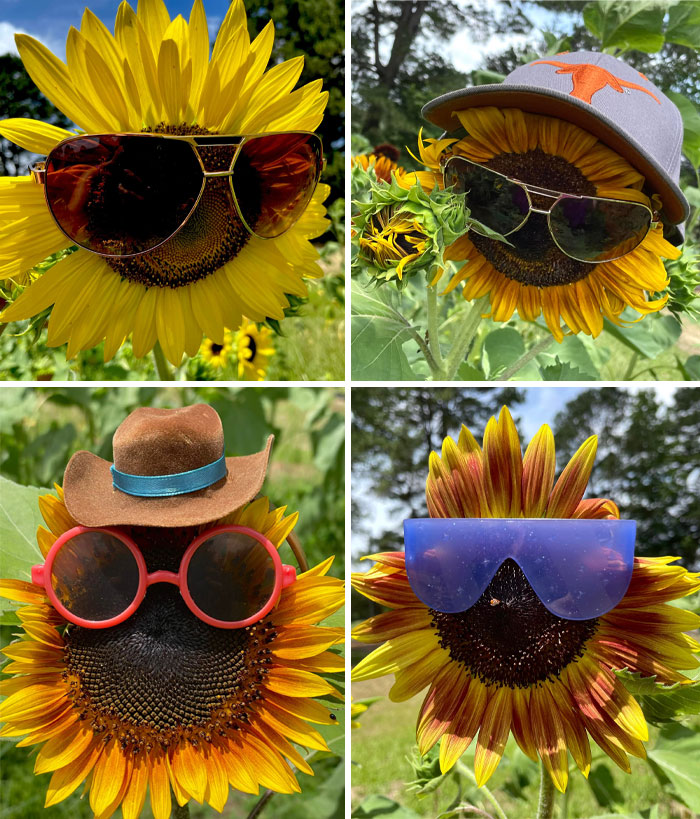 40 Creative Gardening Examples People Shared On This Facebook Group With 1.1M Members