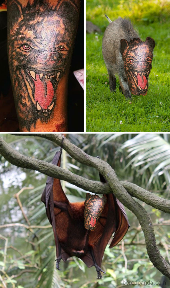 40 Times People Didn’t Even Realize How Bad Their Tattoos Were, As Shared On This Instagram Page