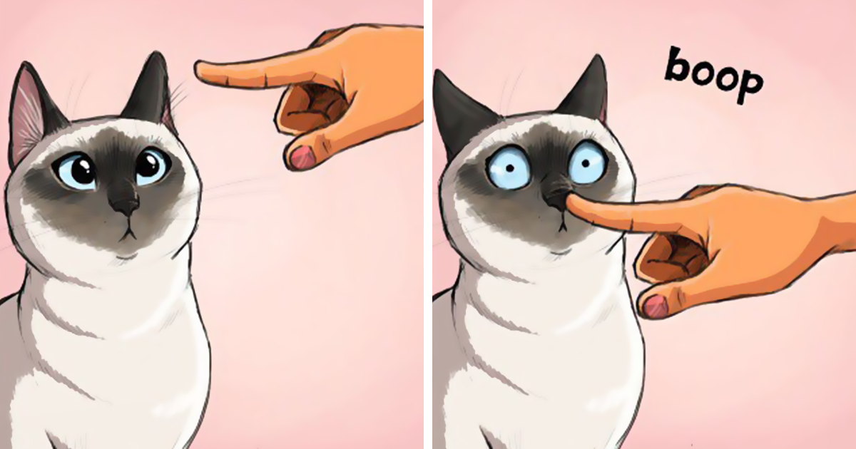 30 Ilustraciones que muestran cómo es tener un gato