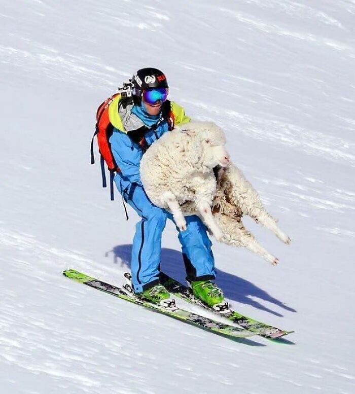 35 Funny “Images With A Lot Of Stuff Going On” That Get Weirder The Longer You Look At Them